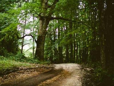 Should you read YA book, Murder on a Summer Break?