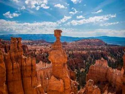 Waving through windows: Insights from the “Reaching Australian Readers” report