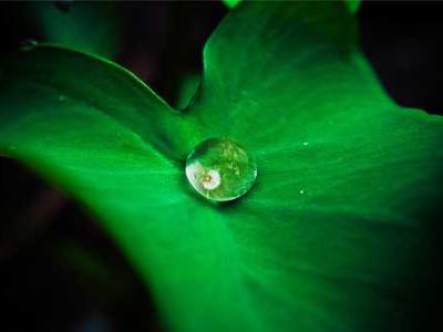 Editorial Content for Silent Bones: A Karen Pirie Novel