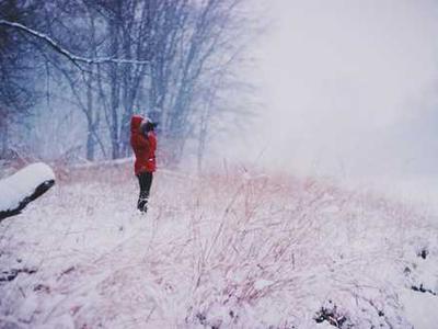 Editorial Content for Trust No One 