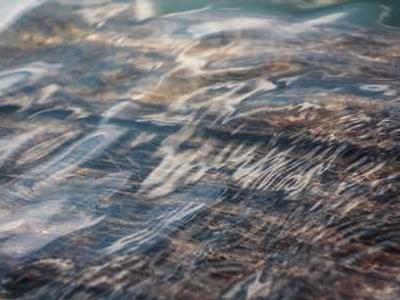 Bookstore Revival: A Nostalgic Journey Back to the Love of Reading