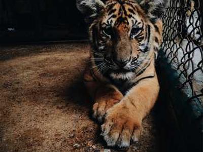 Editorial Content for After That, the Dark: A Cameron Winter Mystery