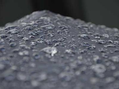 Editorial Content for Canticle