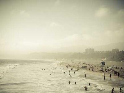 15 Essential Isola Book Club Questions: Discussion Prompts for Allegra Goodman’s Novel