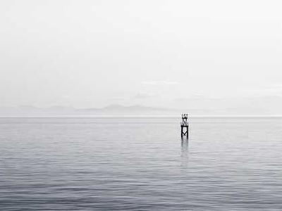 Editorial Content for The Great Contradiction: The Tragic Side of the American Founding