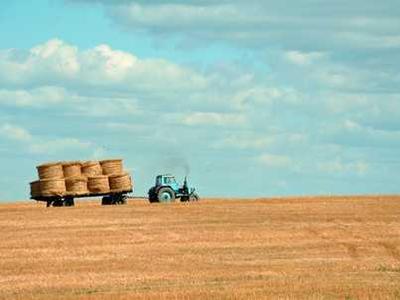 Editorial Content for Vagabond: A Memoir