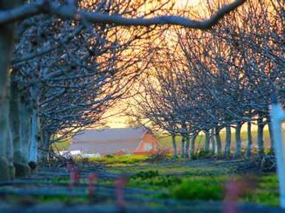 Anna Karenina by Leo Tolstoy – Book Club Questions for a Timeless Classic