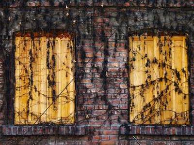 CUP, Still No Miracles Needed, mid banner