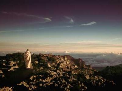 Editorial Content for White Wolf: An Evan Ryder Novel