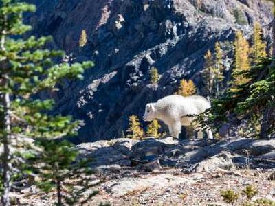 Editorial Content for Trust No One 