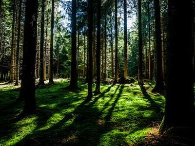 Editorial Content for Every Day I Read: 53 Ways to Get Closer to Books