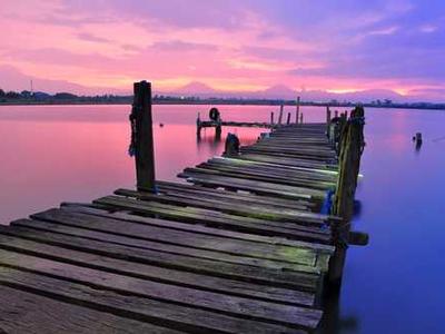 Book Club Questions for Children of Ever After by Avery Yearwood