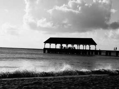 Editorial Content for Cross and Sampson: An Alex Cross and John Sampson Thriller