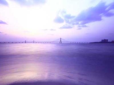 Editorial Content for Trust No One 