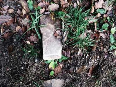 Crime and memoir top Aussie bestsellers