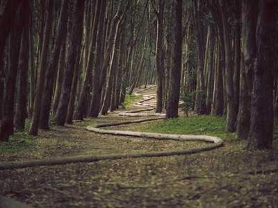 Editorial Content for Every Day I Read: 53 Ways to Get Closer to Books