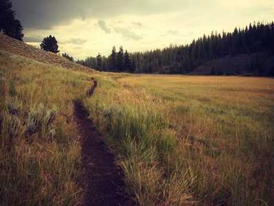 Best Book to Screen Adaptations of 2024 & 2025