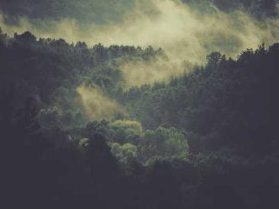 Editorial Content for Canticle