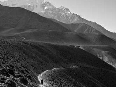 Editorial Content for Silent Bones: A Karen Pirie Novel