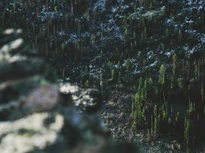 Editorial Content for Crown City: A Japantown Mystery