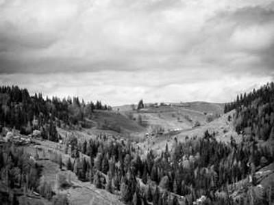 S&S, Your Next Read, BB header