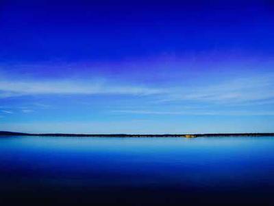 Bookstore Revival: A Nostalgic Journey Back to the Love of Reading