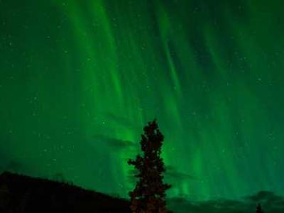 Editorial Content for Silent Bones: A Karen Pirie Novel