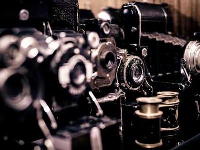 15 Essential Isola Book Club Questions: Discussion Prompts for Allegra Goodman’s Novel