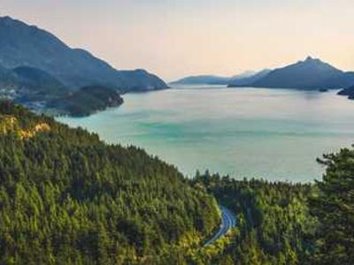 Best Book to Screen Adaptations of 2024 & 2025