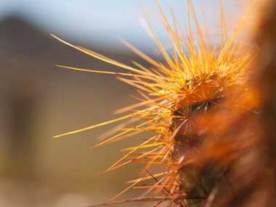 Ruffino to depart Simon & Schuster