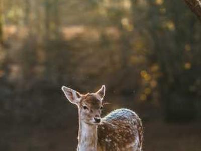 Editorial Content for Every Day I Read: 53 Ways to Get Closer to Books