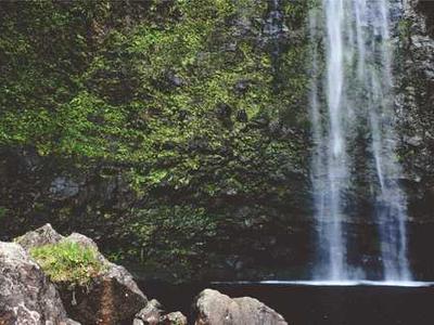 Editorial Content for Cross and Sampson: An Alex Cross and John Sampson Thriller