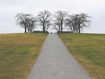 Editorial Content for Cross and Sampson: An Alex Cross and John Sampson Thriller