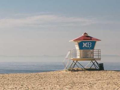 Editorial Content for White Wolf: An Evan Ryder Novel