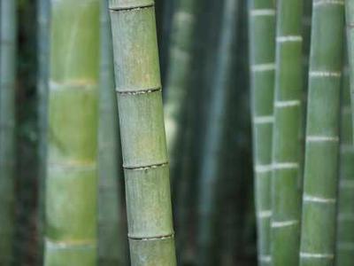 Should you read YA book, Murder on a Summer Break?