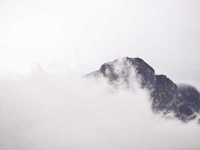 “Naku Dharuk: The Bark Petitions” wins 2025 Australian Political Book of the Year