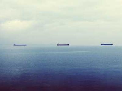 Editorial Content for White Wolf: An Evan Ryder Novel