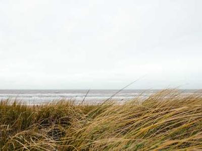 Editorial Content for Cross and Sampson: An Alex Cross and John Sampson Thriller