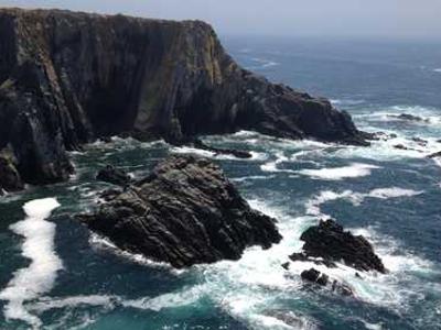 Editorial Content for Canticle