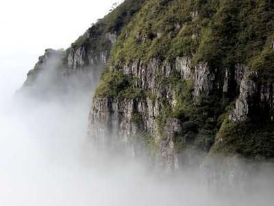 Junior Book Club – this month’s reads