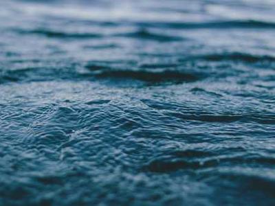 Editorial Content for White Wolf: An Evan Ryder Novel