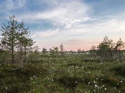 Editorial Content for Every Day I Read: 53 Ways to Get Closer to Books