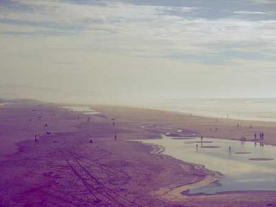 Editorial Content for Canticle