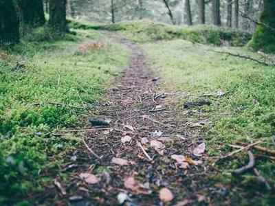 Ruffino to depart Simon & Schuster