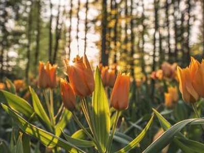 Editorial Content for Trust No One 