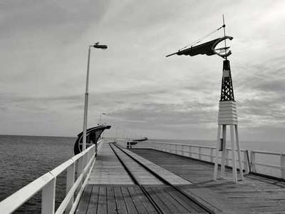 Editorial Content for Every Day I Read: 53 Ways to Get Closer to Books