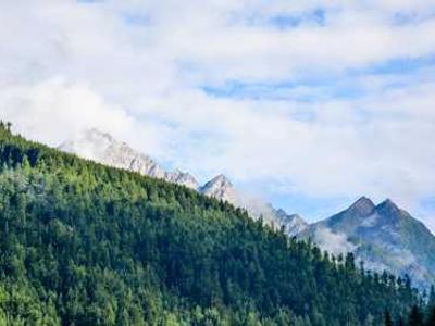 Editorial Content for Canticle