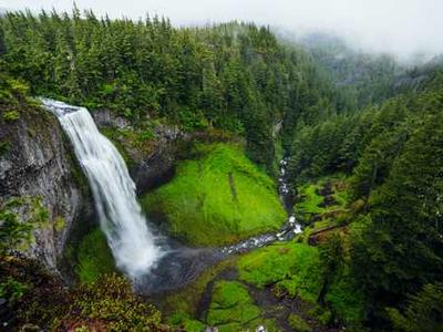 Editorial Content for Trust No One 