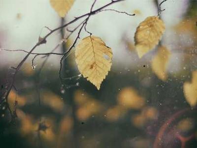 Editorial Content for Stolen in Death