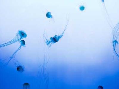 HGCP announces Zac Power film adaptation